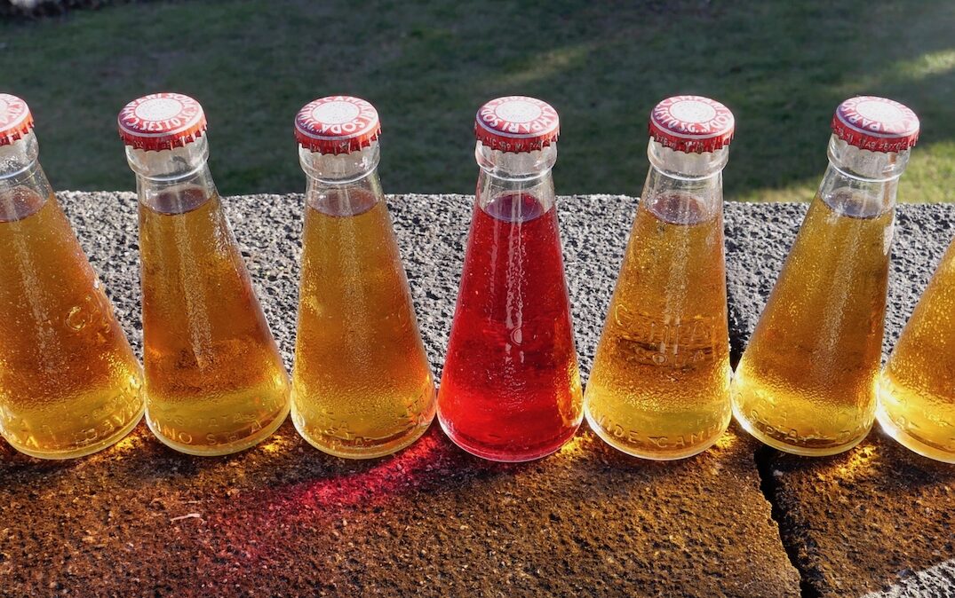 LAUNTSCHN (LAUNCHEN)