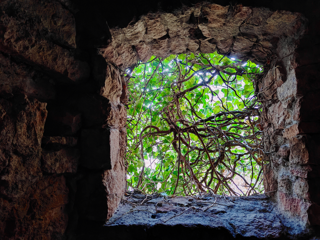 ZUM TAG DER MUTTERSPRACHE 2026